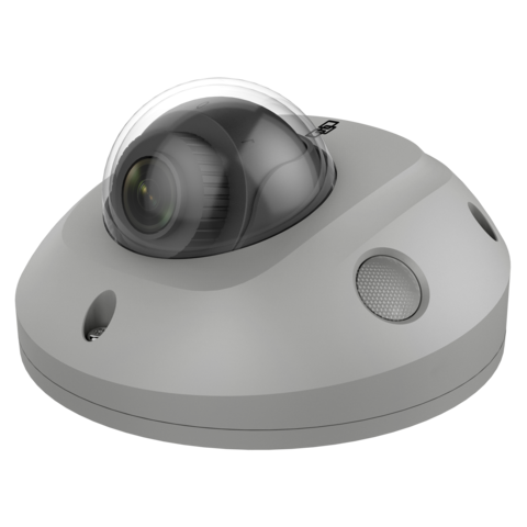 Kamera IP kopułowa Aritech TVGP-M01-0201-WED-G 2.8mm