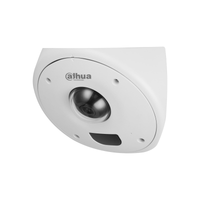 Kamera IP specjalna Dahua IPC-HCBW8442-0250B
