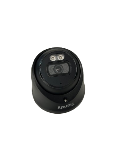 Kamera IP kopułowa Tiandy TC-C35XS SPEC:I3W/E/Y/M/S/B/2.8MM/V5.0 (BLACK)