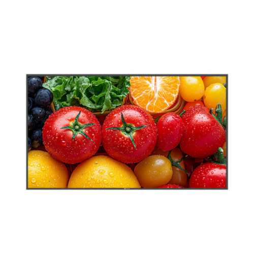 Monitor AG Neovo 4K UHD QM-5503 55"