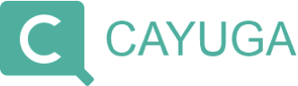 SeeTec Cayuga Infinity X Licencja - 1 kanał IP